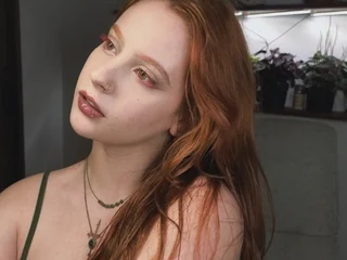 Profile preview